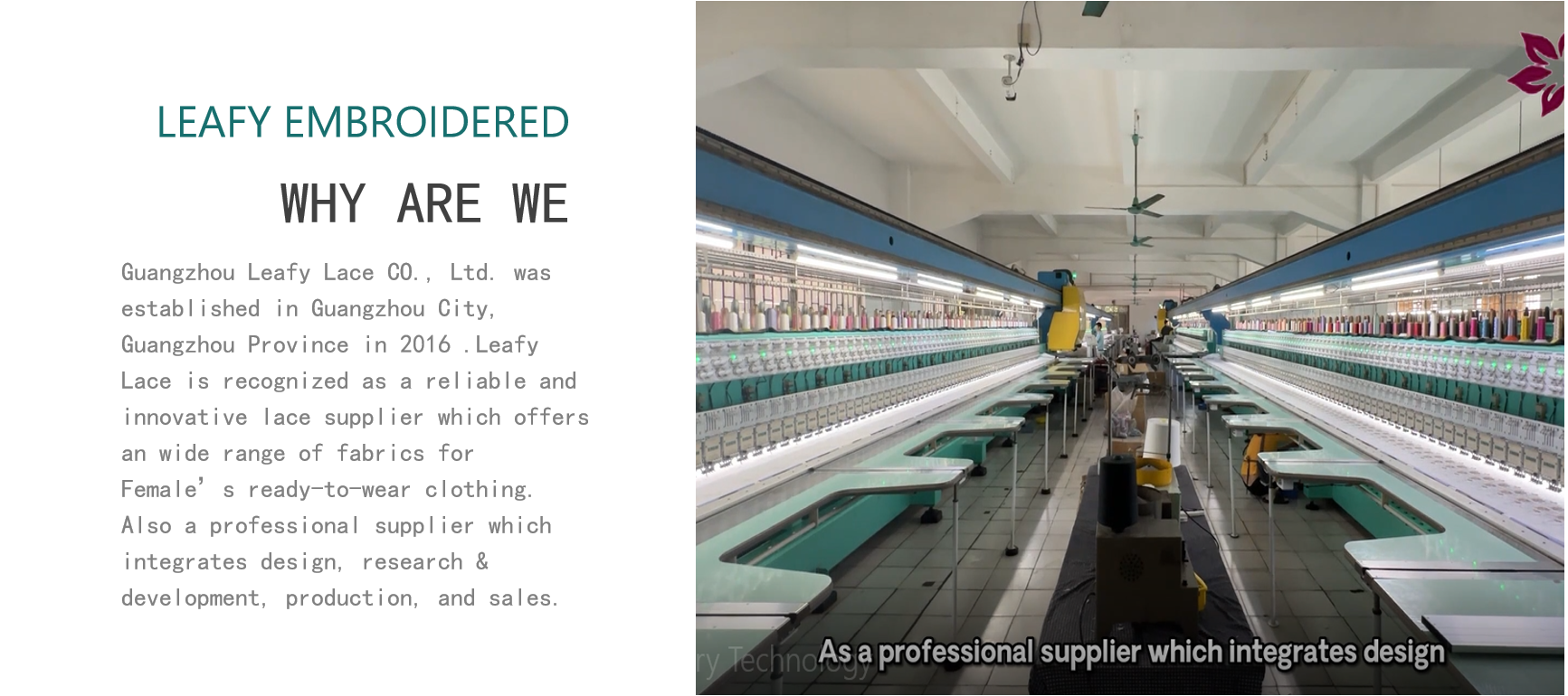 품질 엠브로이드된 레이스천 공장